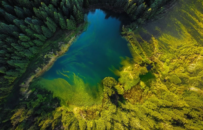 Drone view of lake in forest ( horizontal )