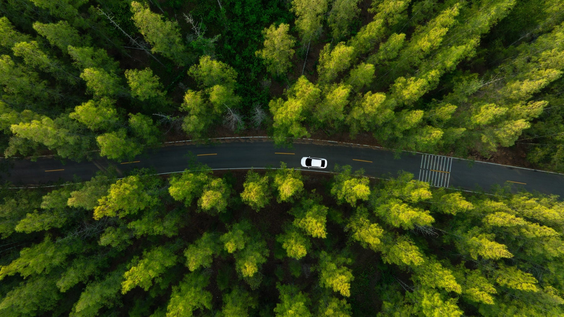 Aerial view of dark green forest road and white electric car Natural landscape and elevated roads Adventure travel and transportation and environmental protection concept