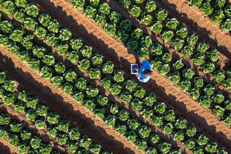 Modern farmers are using digital technology to collect data and monitor crops