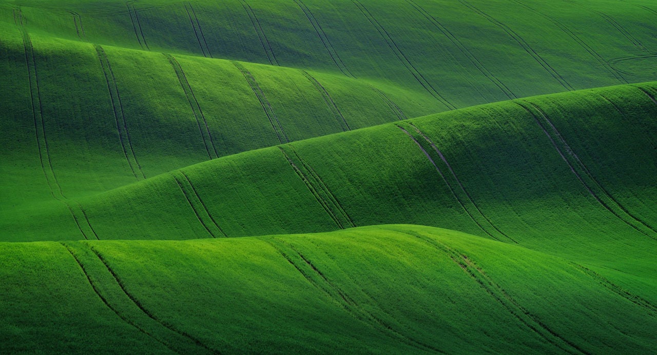 rolling green hills