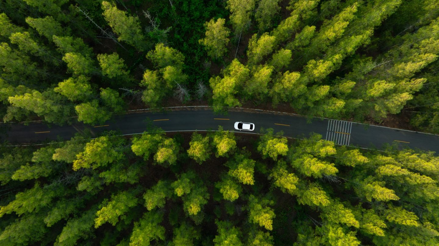 Aerial view of dark green forest road and white electric car Natural landscape and elevated roads Adventure travel and transportation and environmental protection concept