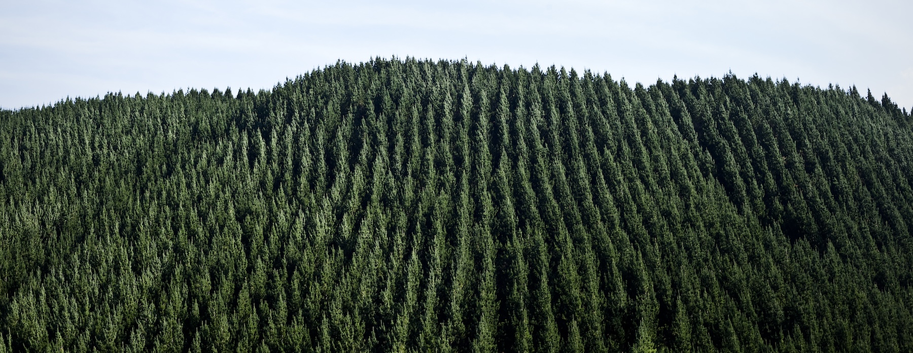 Our Commitment to <em>Climate Change</em>