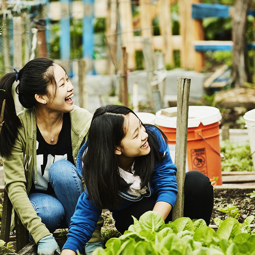 Laughing young women volunteering in community garden
