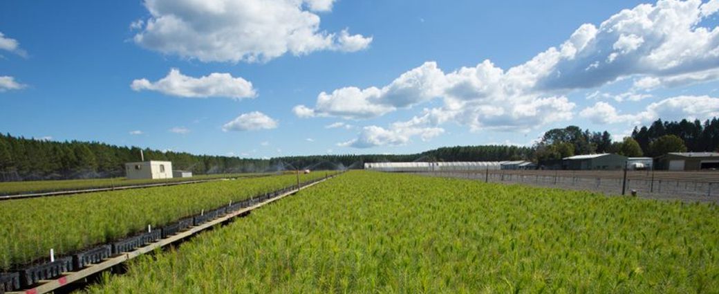 Agricultural field with irrigation and greenhouses in background