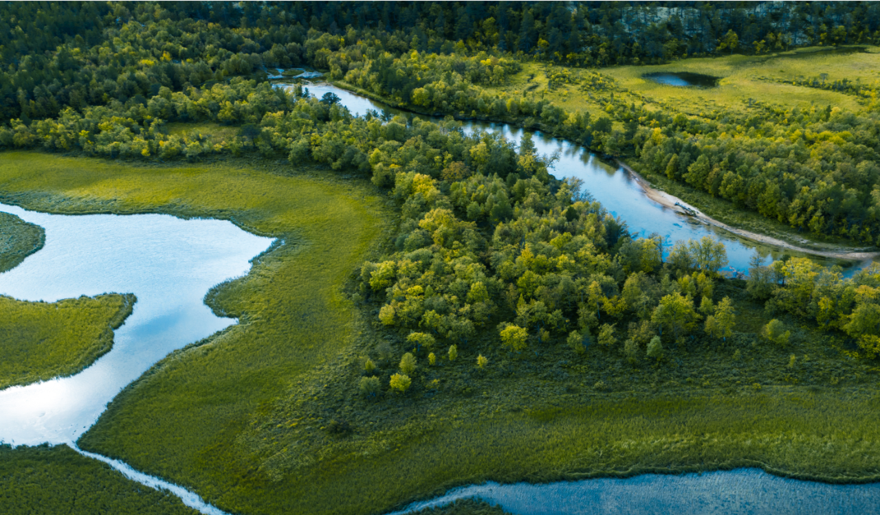 overhead view of green and boggy landscape with river running through it
