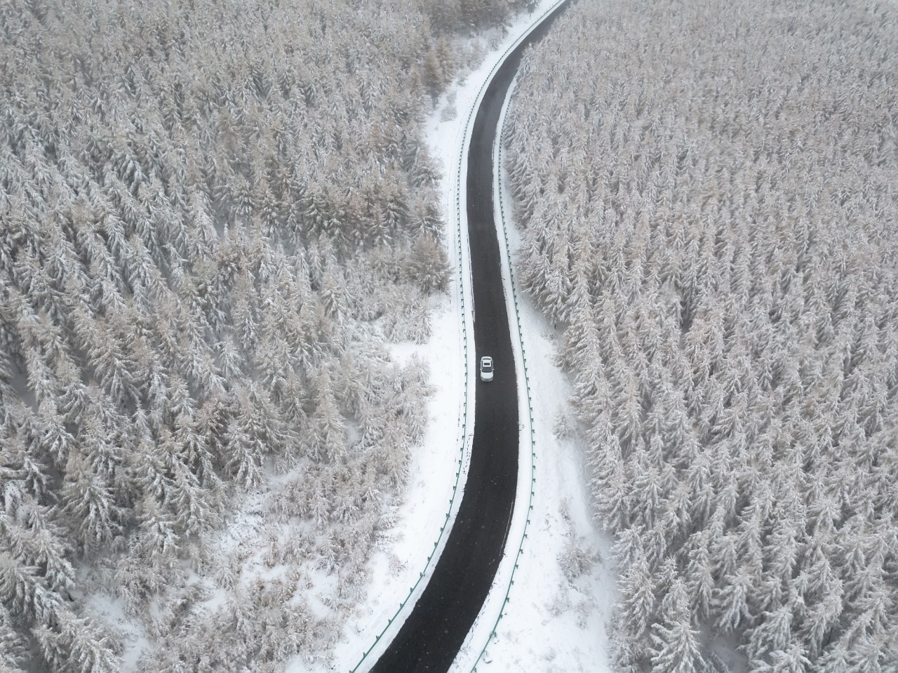 winding winter road in the middle of snowy pine tree forest