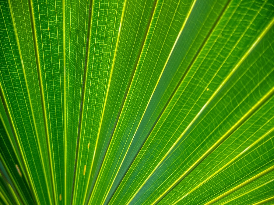 986302124