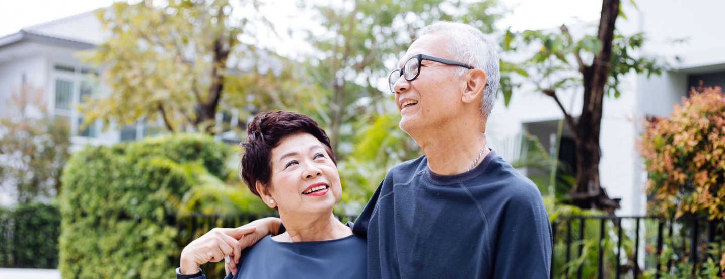 DSF Hero Banners (6500 x 2500 px) - 7